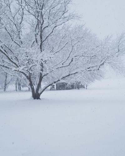 Snow at Garrett Farm