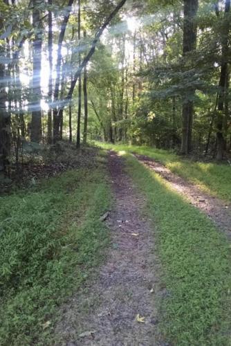 A trail at Garrett Farm